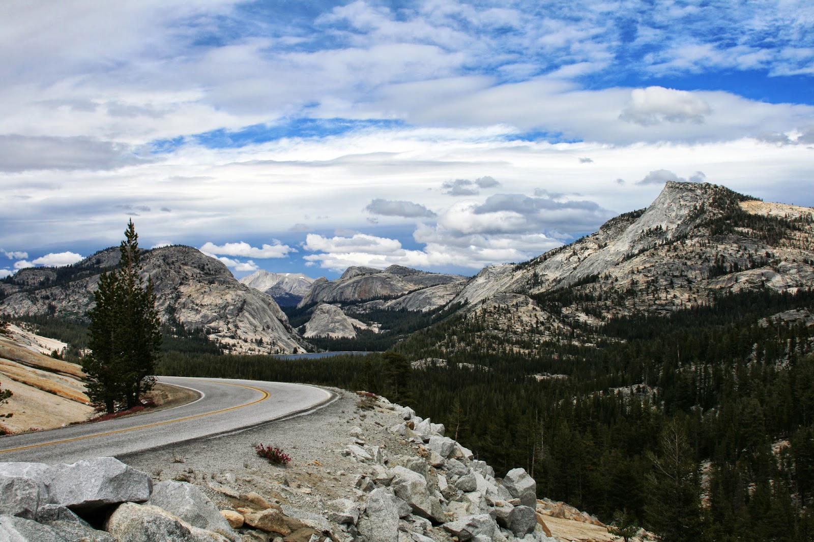 Amazing Places That I Love The Tioga Road Yosemite National Park