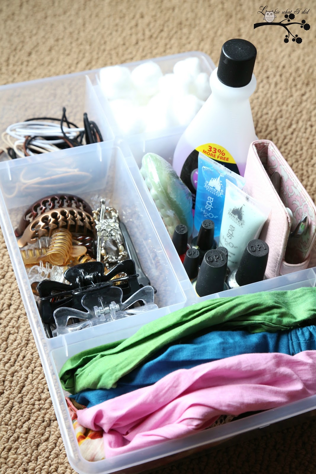 Lookie What I Did 1 Plastic Container.........7 Different Uses