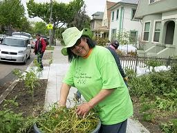 Victory Garden Foundation