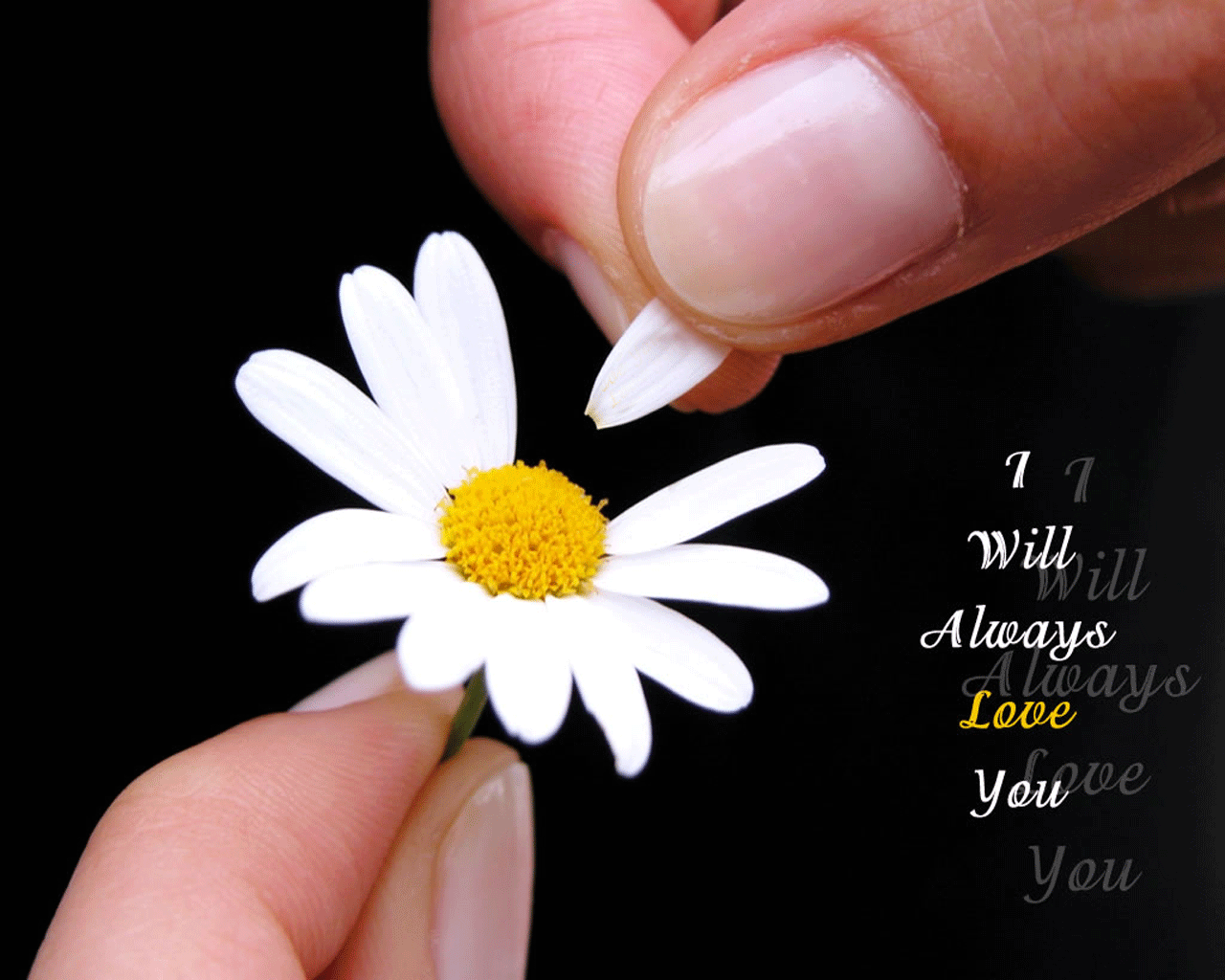 All photos gallery: Short funny sayings, funny short saying, short
