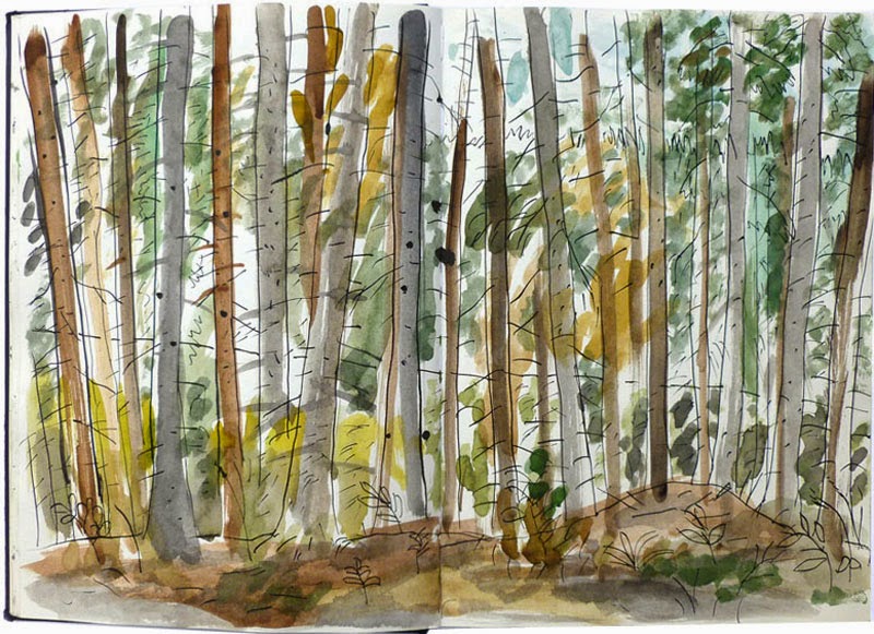 Sustituye las fotos de tus vacaciones por unos Sketchbooks