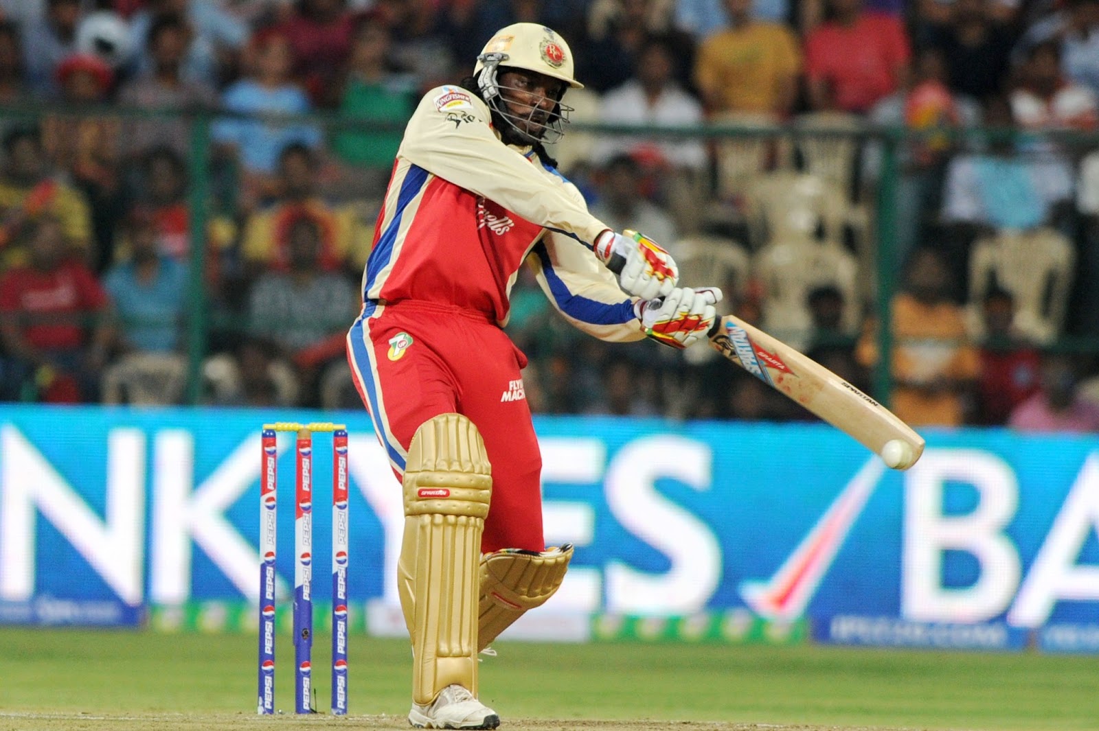 sport wallpapers,hd pics of cricketer,tennis star wallpapers,hot