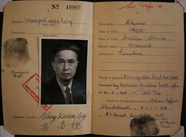 Willie Wong Immigration