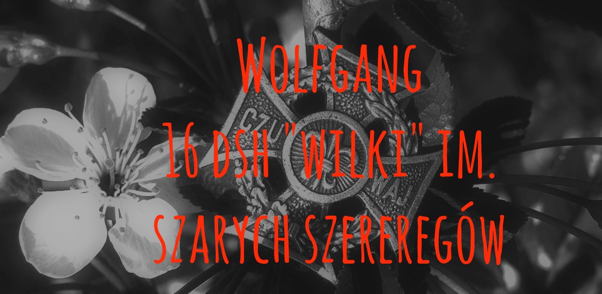 WolfGang - 16 DSH "Wilki" im. Szarych Szeregów