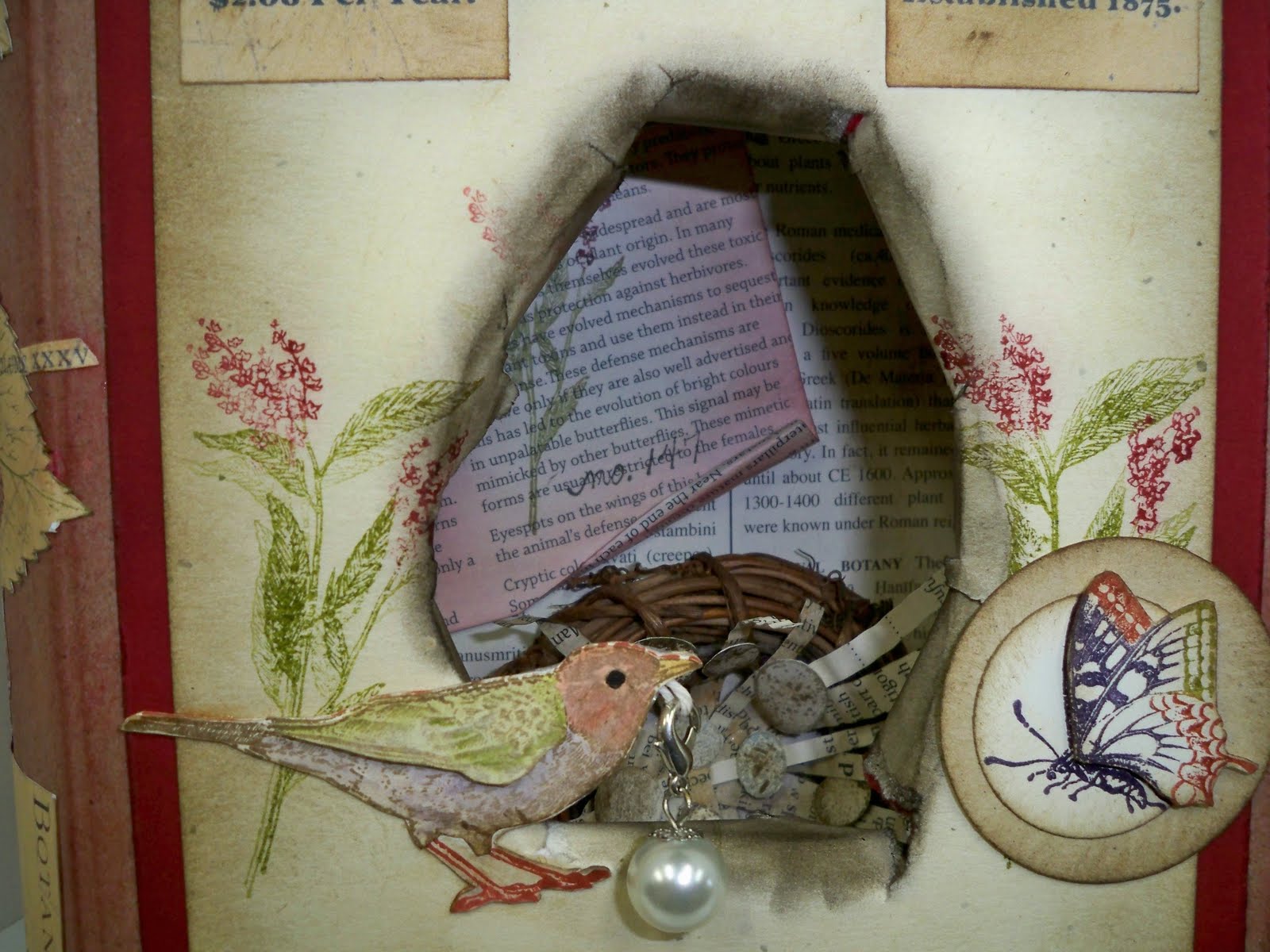 Clever and Cute Nature Walk Shadow Box