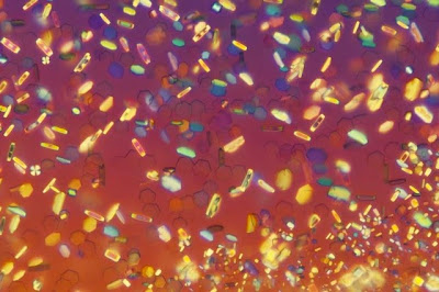 These Extraordinary Images Could Be The Key To Better Research Into Autism These Extraordinary Images Could Be The Key To Better Research Into Autism
