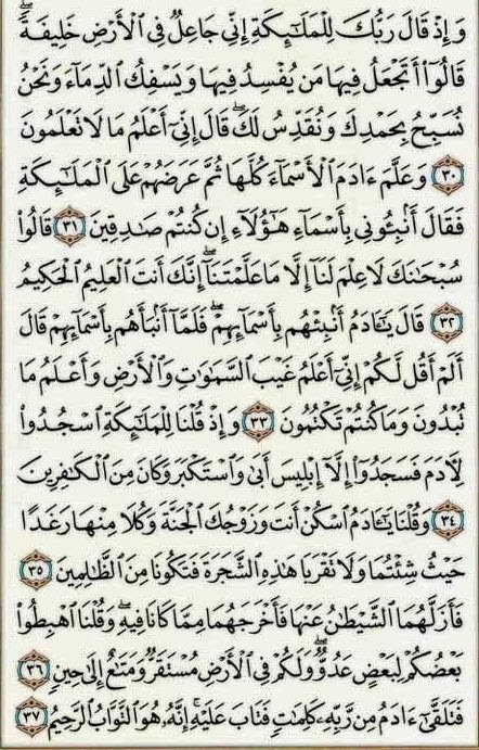 Satu Hati Satu Perjuangan Terjemahan Surah Al Baqarah Ayat 30 37