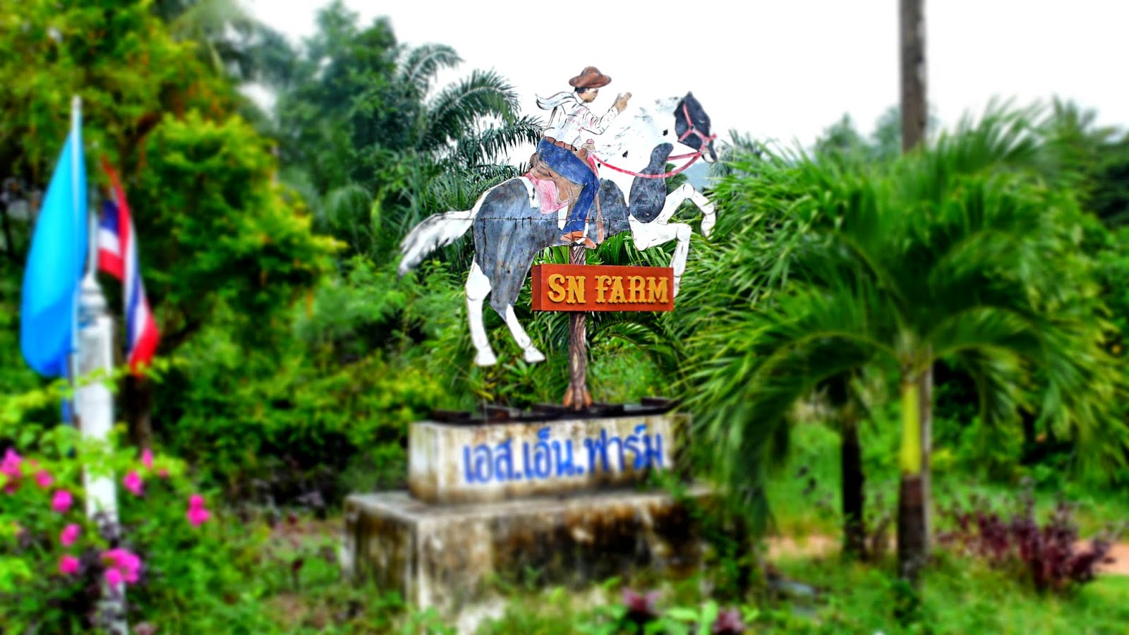 SN Farm Thap Sakae SN Farm Thailand