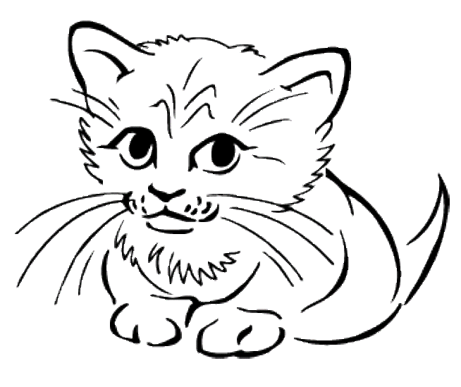 ANIMALS COLORING PAGES: Cute Baby Cats - Coloring Pages Animal Pictures