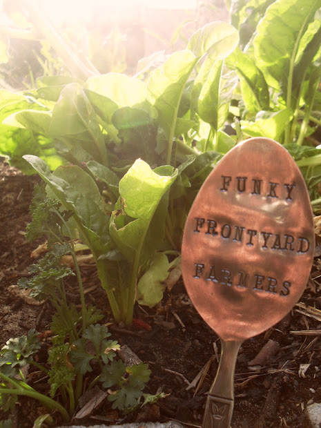 funky frontyard farmers