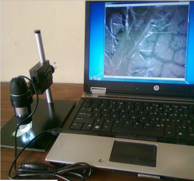 Mikroskop Digital USB 1000x