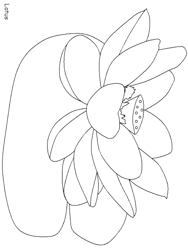 Lotus Flower Coloring Pages for Kids title=