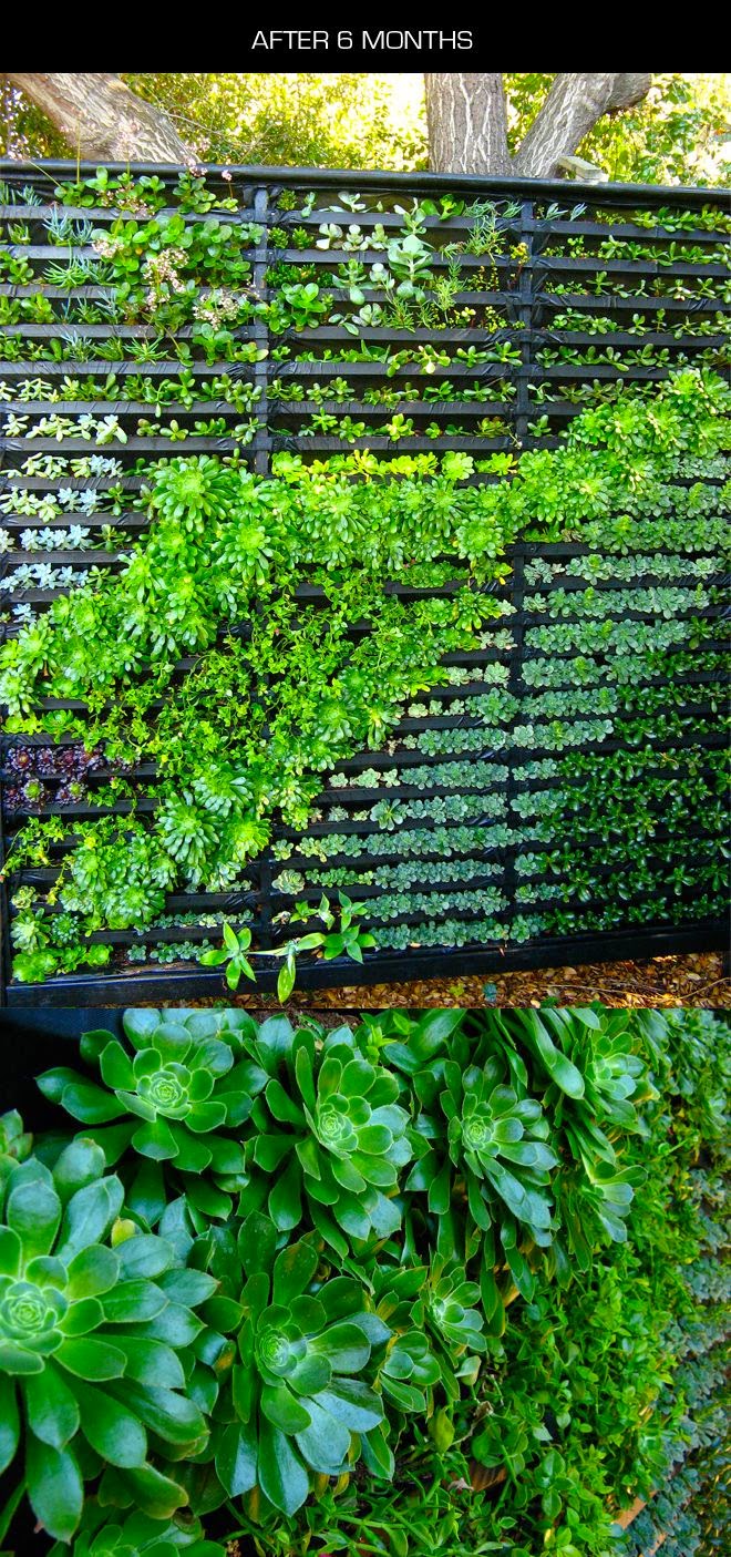 Flowers Gardens: Garden Projects