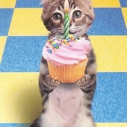 Happy birthday, kaz! Happy-birthday-kitten.jpg