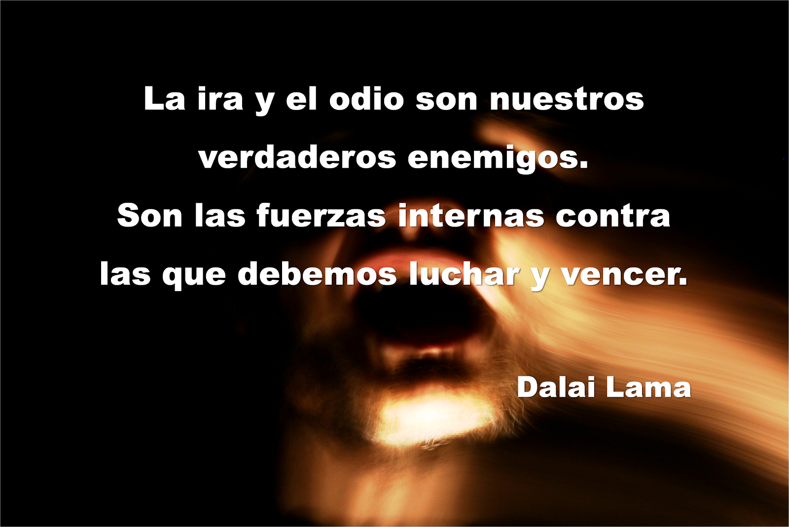 FRASE CELEBRE NINO frase celebre nino:
