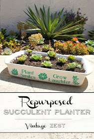 DIY Repurposed Succulent Planter on Diane's Vintage Zest!  #craft #repurpose #garden #diy #vinyl