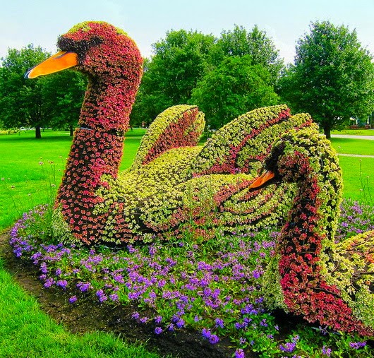 20 Stunning Animal shaped trees, Gardens, Plants and Other Shapes