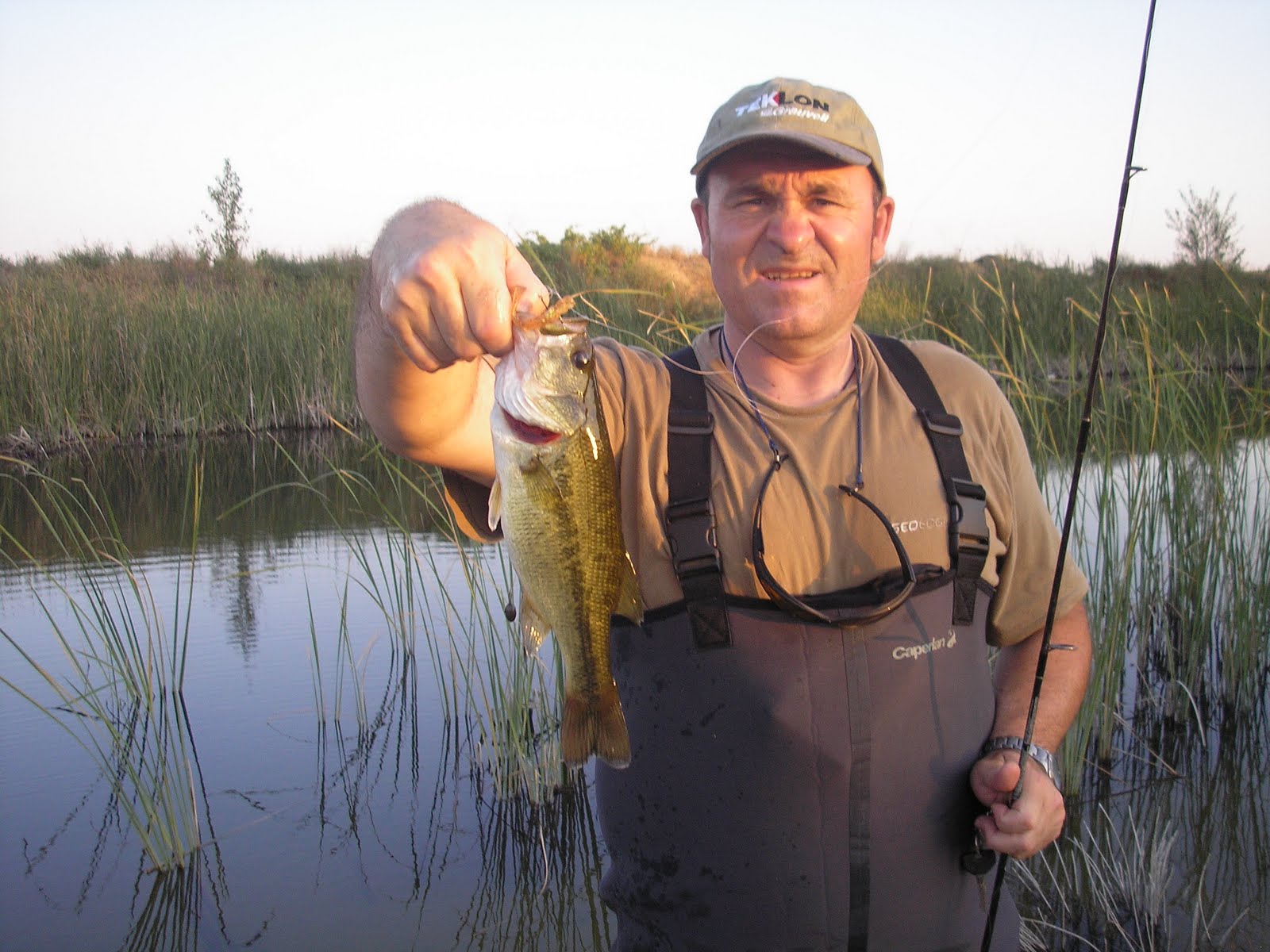 Black bass castellano