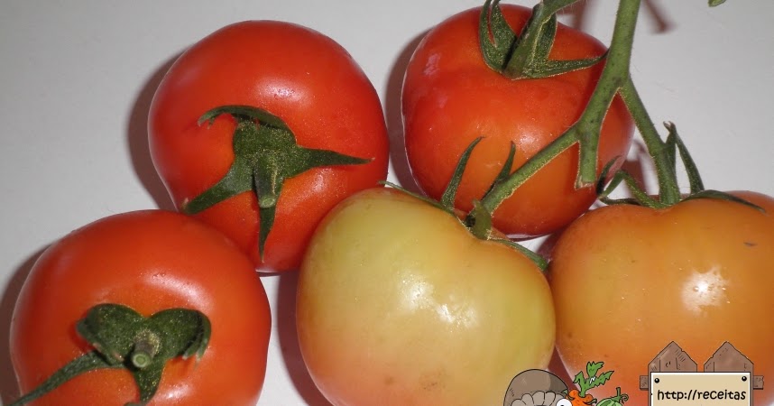 Receitas Saudáveis: Polpa de Tomate