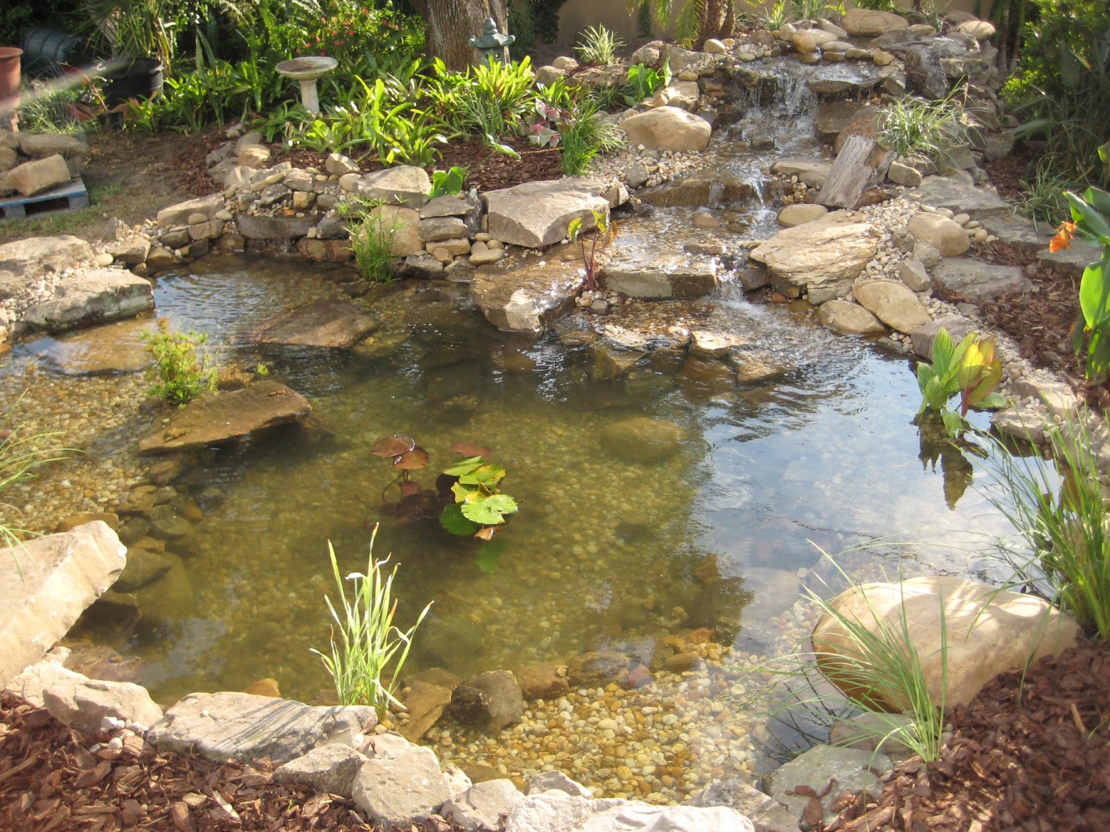 the pond ecosystem Pond ecosystem wwwmakemegeniuscom free science videos for kids. the pond ecosystem Pond ecosystem wwwmakemegeniuscom free science videos for kids.
