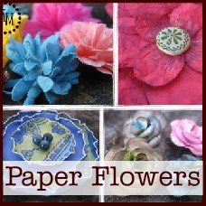 bb Paper+Flowers