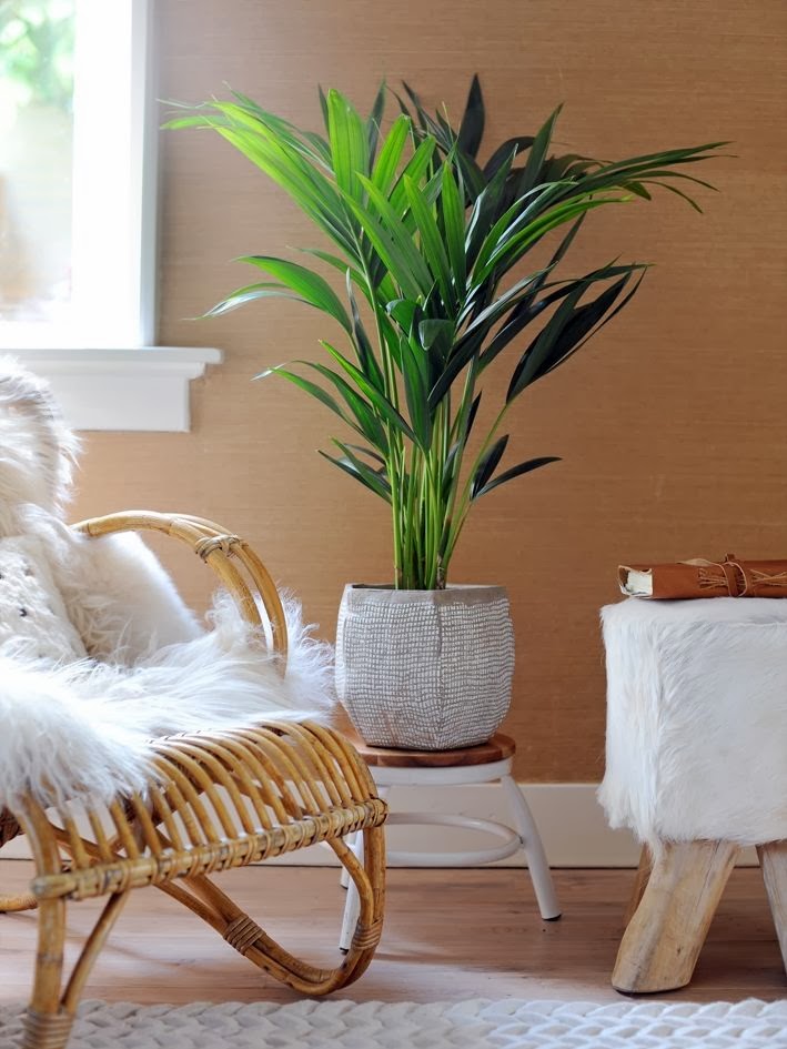 Badkamer decoratie tips: inspire een frisse badkamer tintje ...