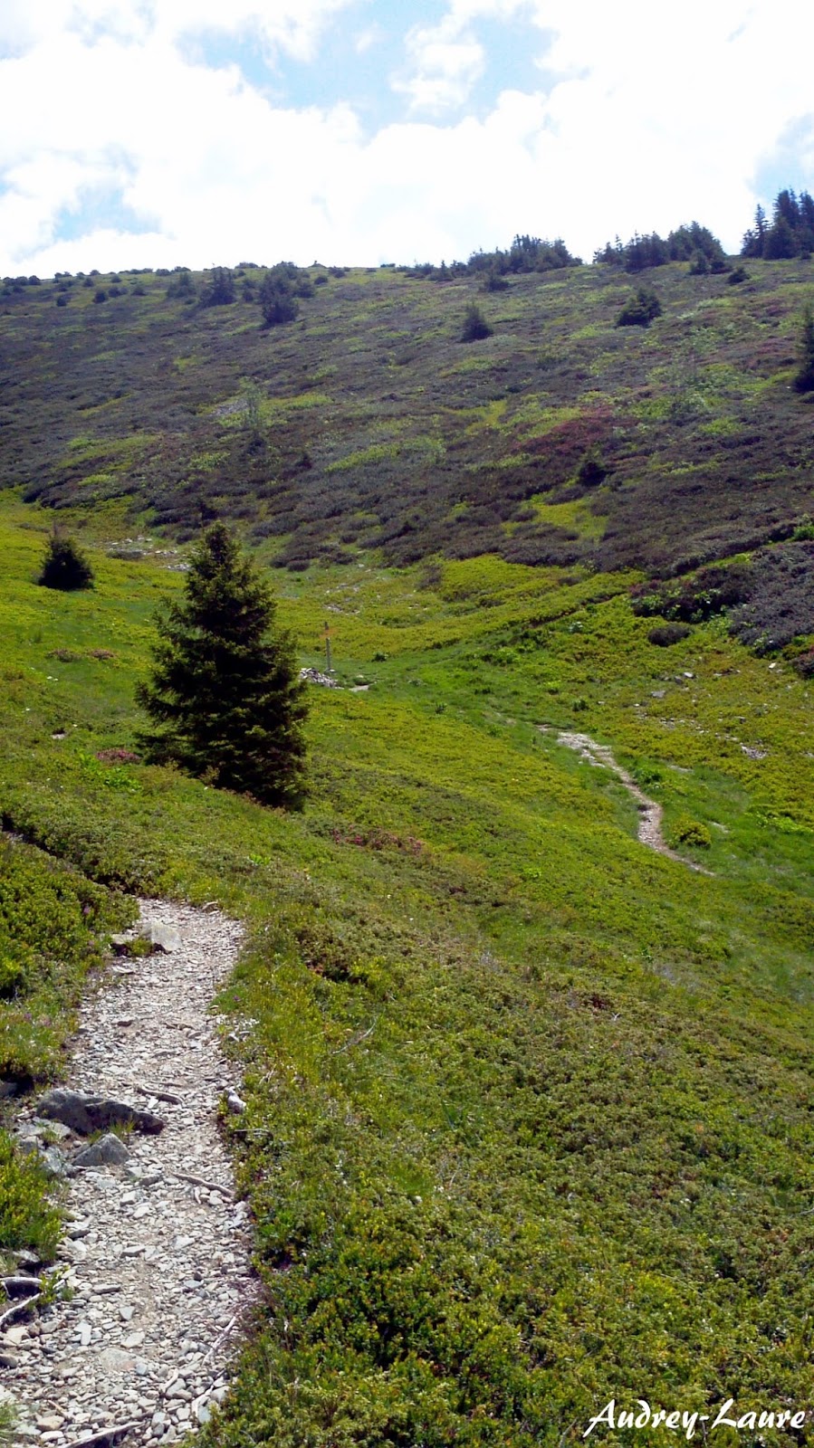 taillefer taillefer