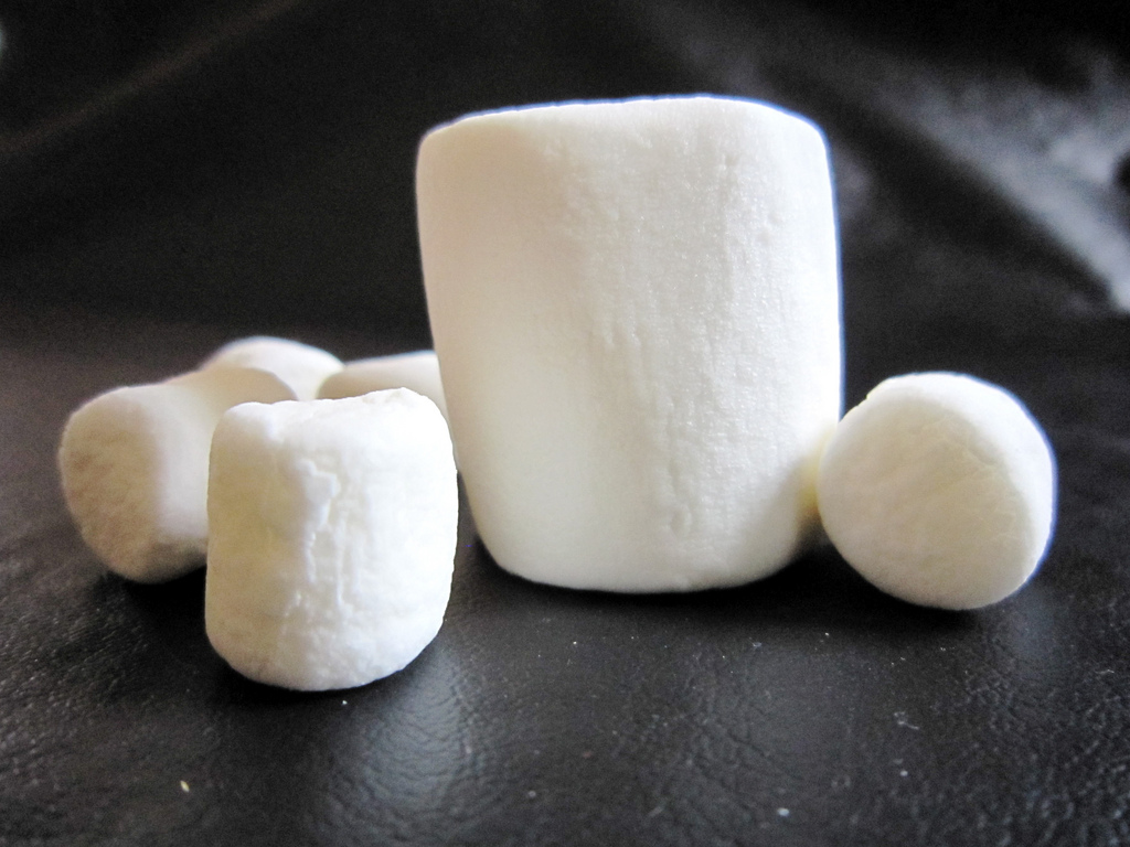 marshmello pics cranky fitness brains and marshmallows marshmello pics cranky fitness brains and marshmallows