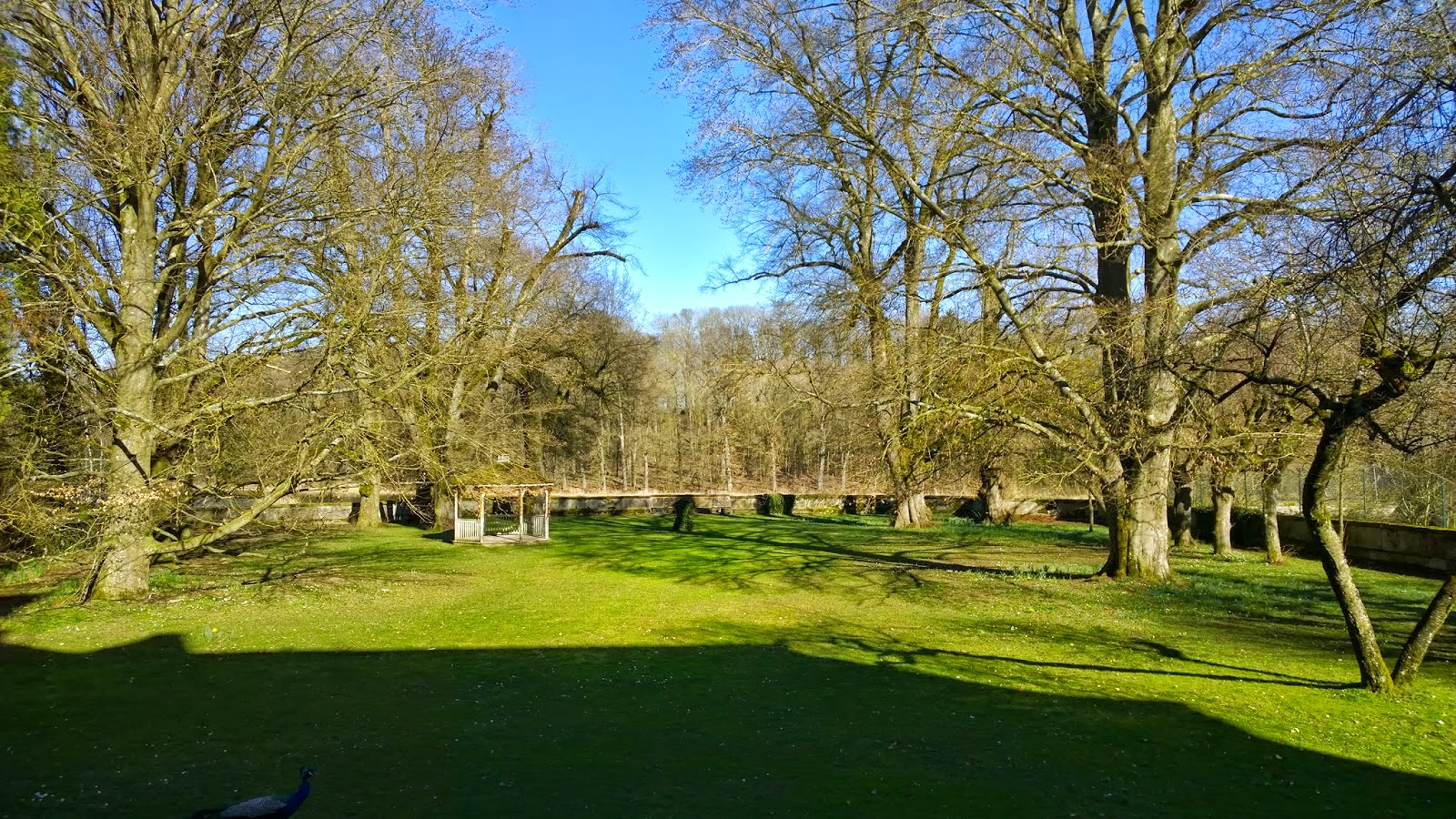 Leserjury Von Mein Schoner Garten Zum Deutschen Gartenbuchpreis 2014 Auf Schloss Dennenlohe Teil 1 Von 3 Achims Garten