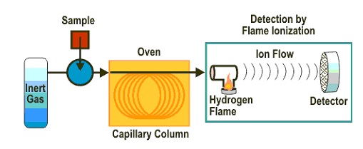 Flame Ionization Detector in Gas Chromatography (FID)