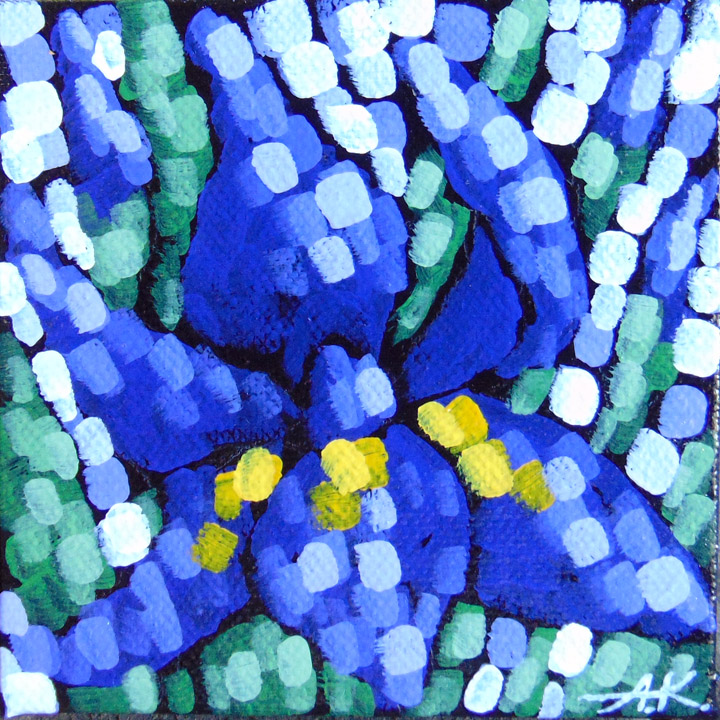 Aaron Kloss — Painting Diary Blooming Iris paintings