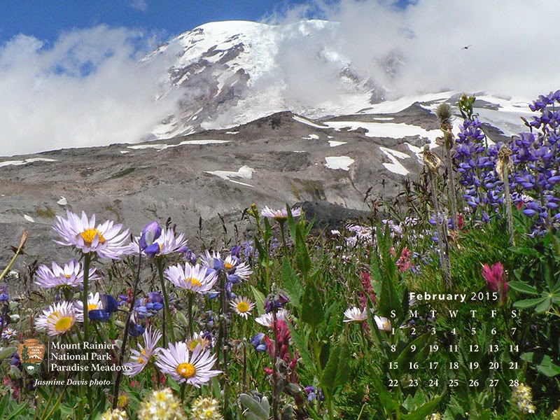Mount Rainier Volunteers Get your February wallpaper (and contribute