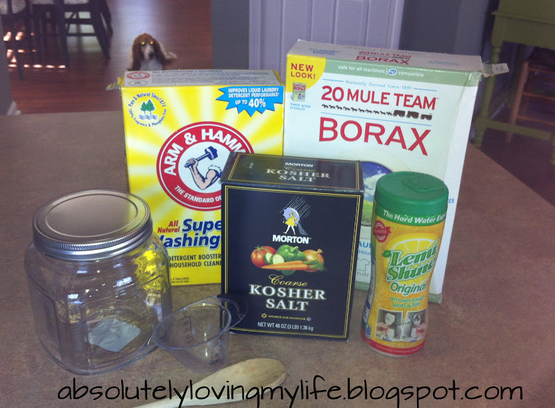 Loving Life DIY Dishwasher Detergent