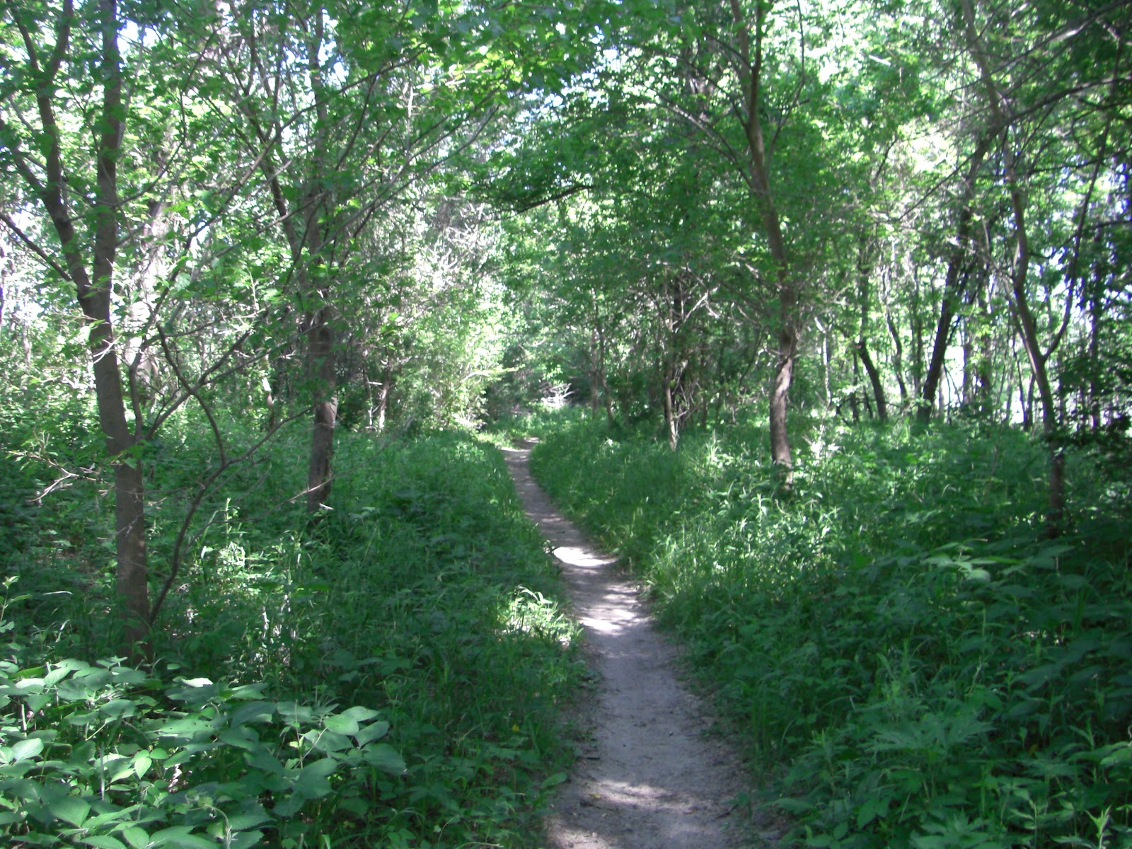 MN Bike Trail Navigator Mountain Biking the Minnesota River Bottoms West Segment