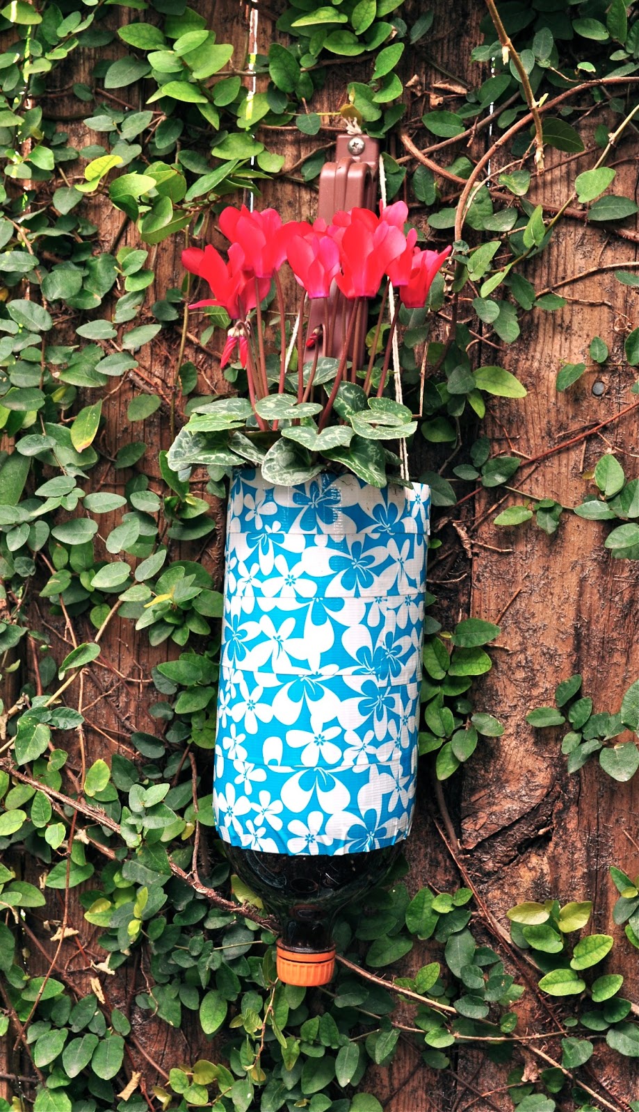 Vertical Gardener DIY Hanging Plastic Bottle Planter