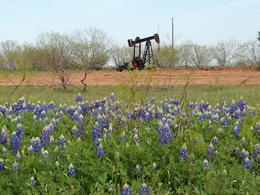 Bluebell Season in Texas