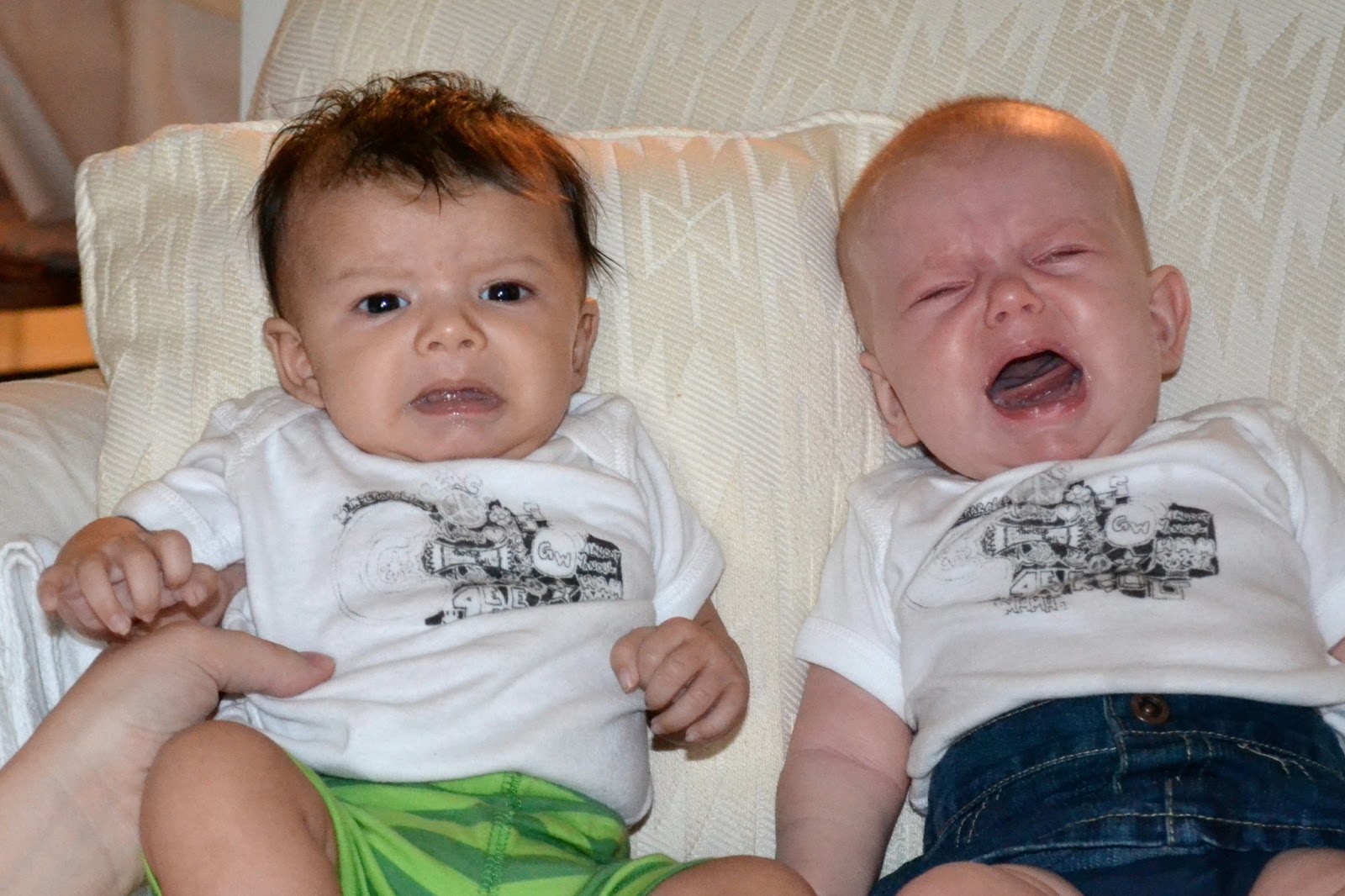 My Life as a Lawyer's Wife: Baby Cousins