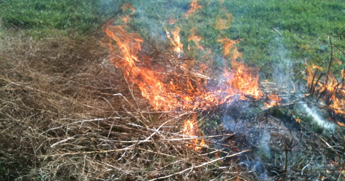 Watch Out For The Bull Burning the Asparagus Bed; One of the Unofficial Starts to the Gardening