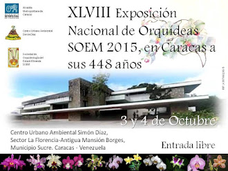 Nuestra próxima Exposición SOEM