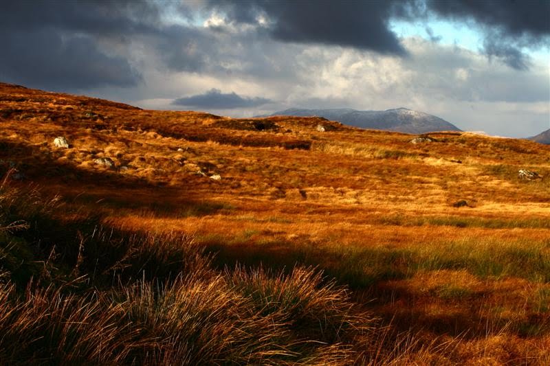 CONNEMARA landscapes, vivid colours and snowy mountain tops © Annie Japaud Photography