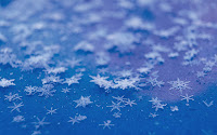 snow-flakes-and-frost-wallpaper-1