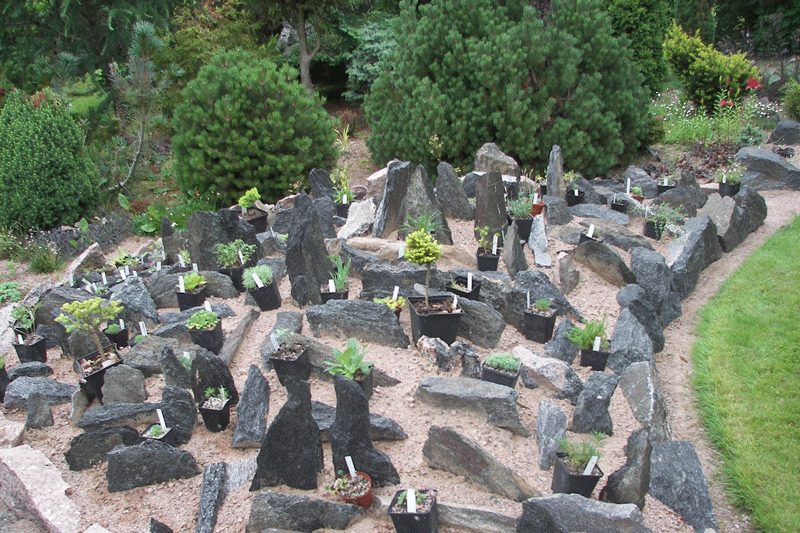 trädgård rabatt sten