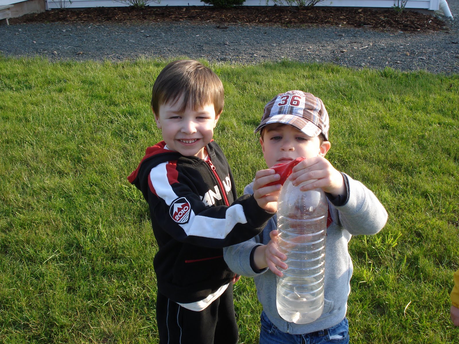 simple cause and effect experiments