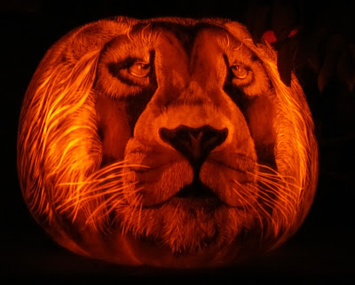 roger williams zoo pumpkin 2021 roger williams zoo pumpkin 2021