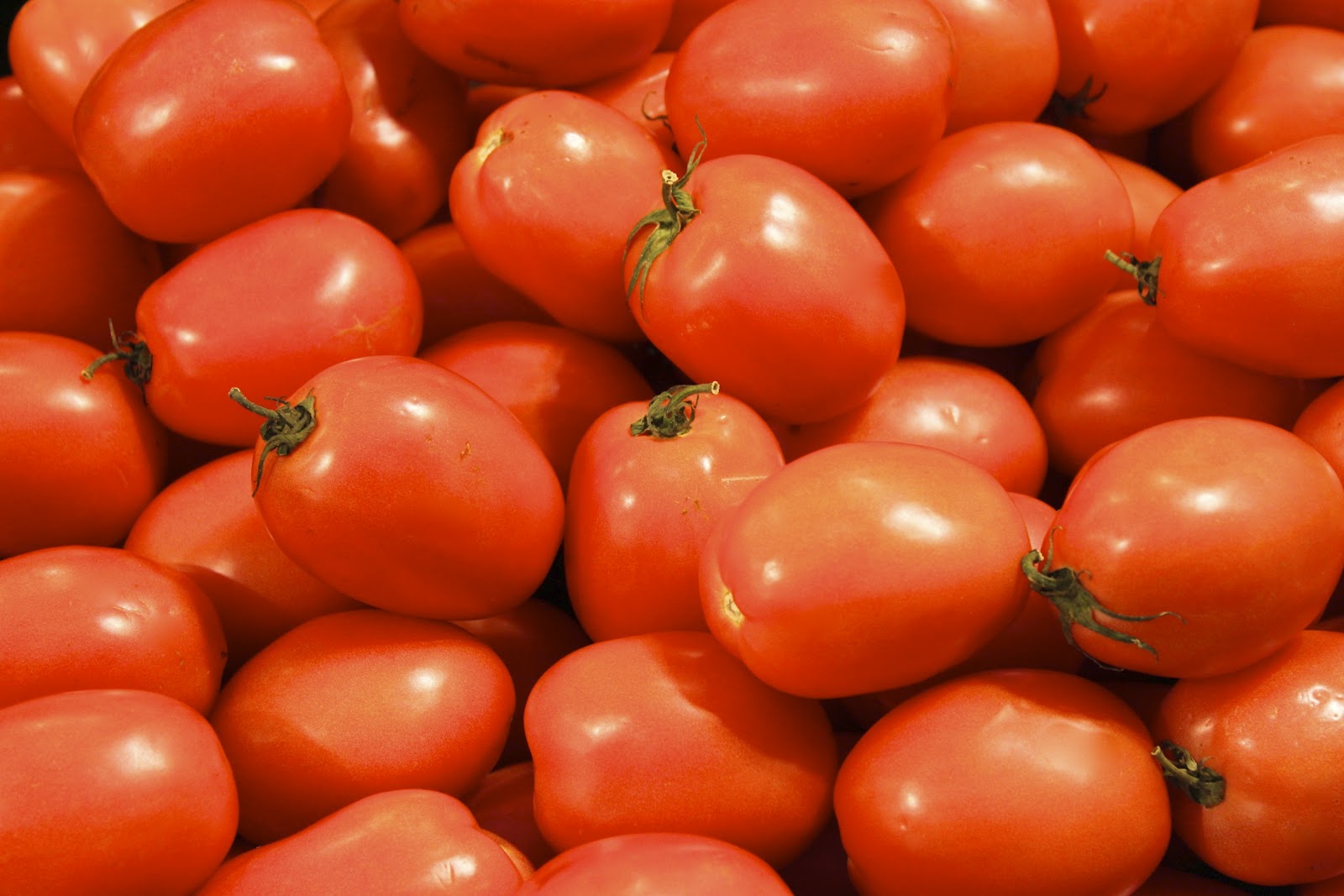 Italian Slow Roasted Tomatoes The Café Sucre Farine
