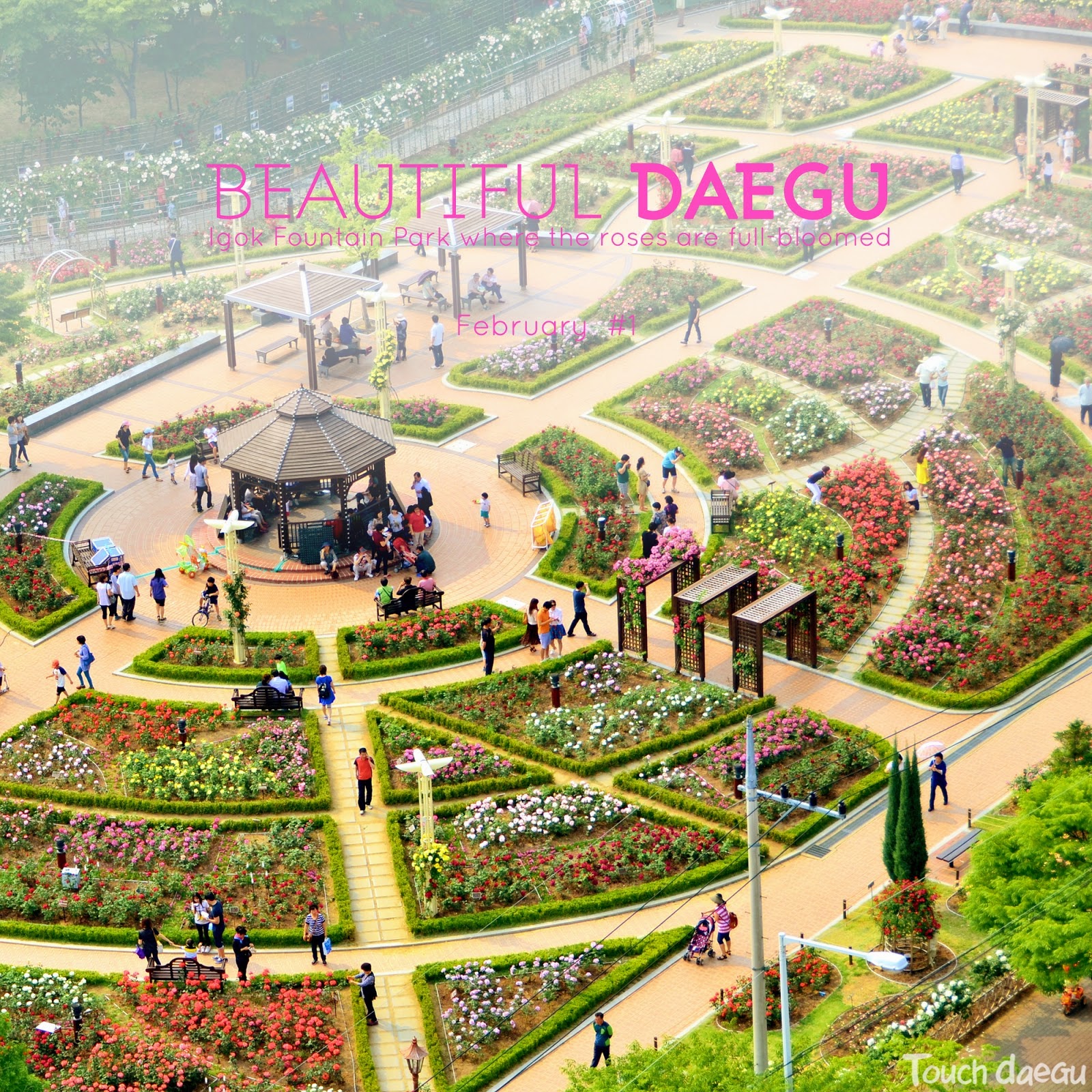 [Image: Beautiful%2BDaegu%2B(1).jpg]