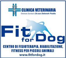 Clinica veterinaria Fit for dog