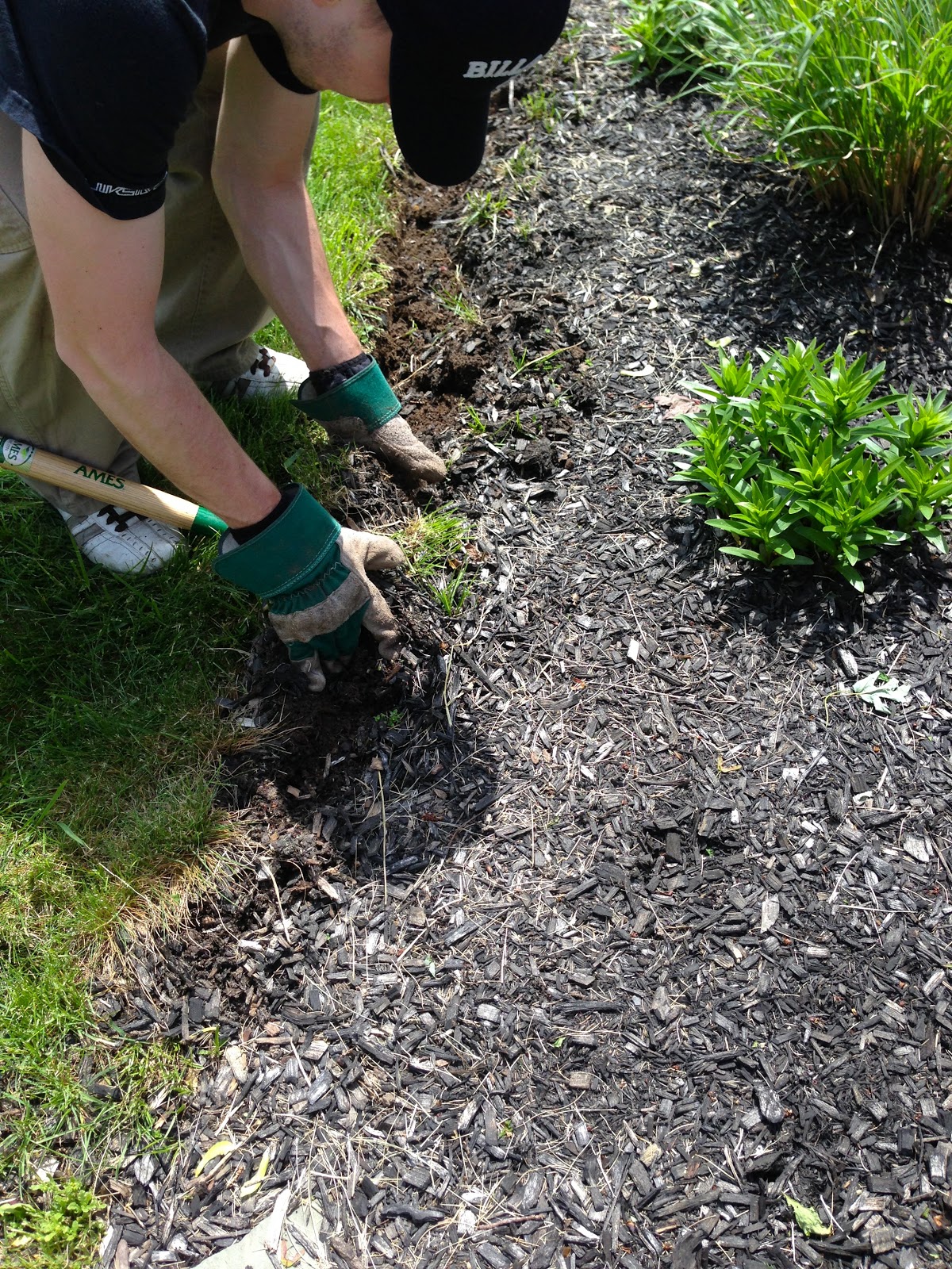 Eclectified Living How to Edge a Garden Bed