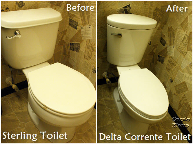 Condo Blues How to Install a Toilet