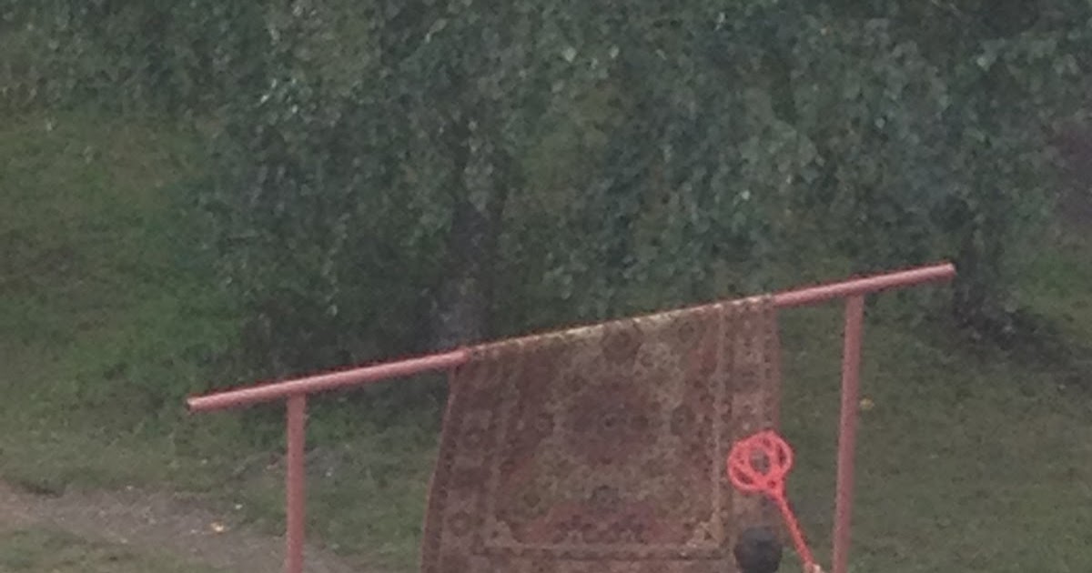 At Least One Picture A Day August 21 2012 Rug Beating